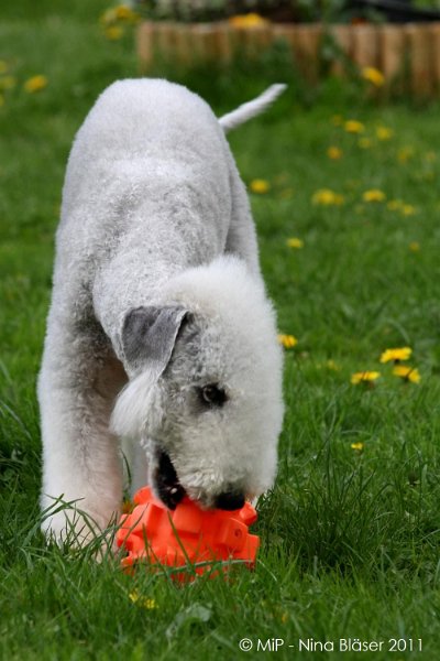 2011-04-23 Quincy etc (40).jpg